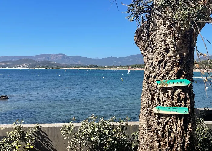 Le Galatee -t2 Luxe Les Pieds Dans L'eau - Apartmán *