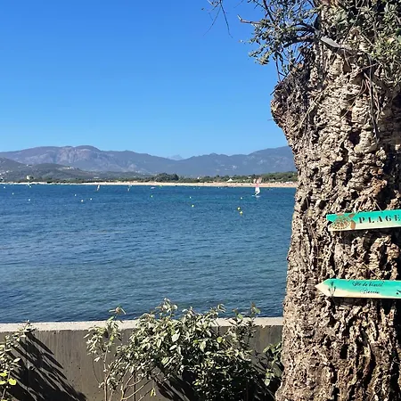 Le Galatee -t2 Luxe Les Pieds Dans L'eau - Apartamento *