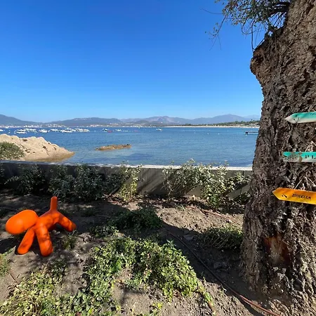 Le Galatee -t2 Luxe Les Pieds Dans L'eau - Apartamento *