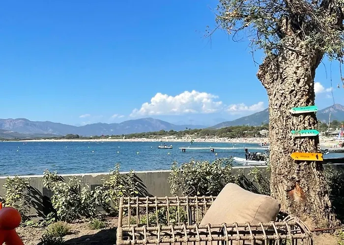 Appartement Le Galatee -t2 Luxe Les Pieds Dans L'eau -